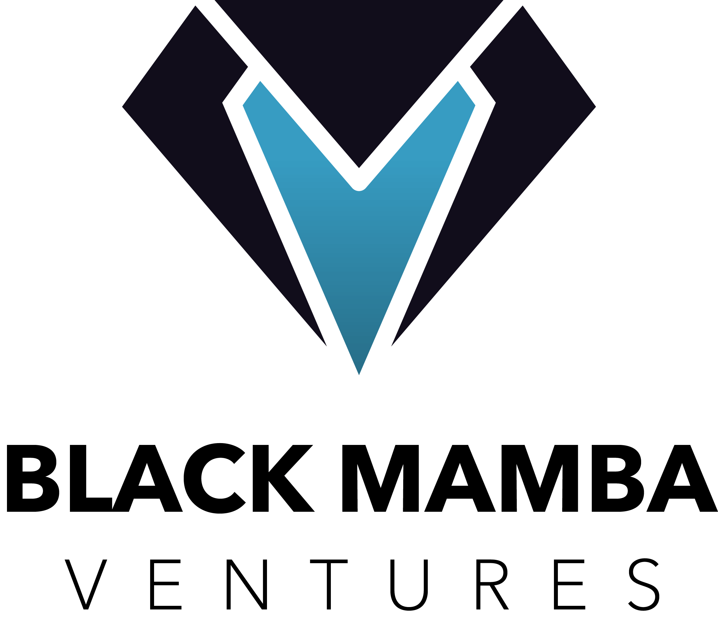Black Mamba Ventures