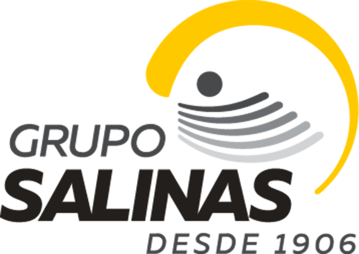 Grupo Salinas