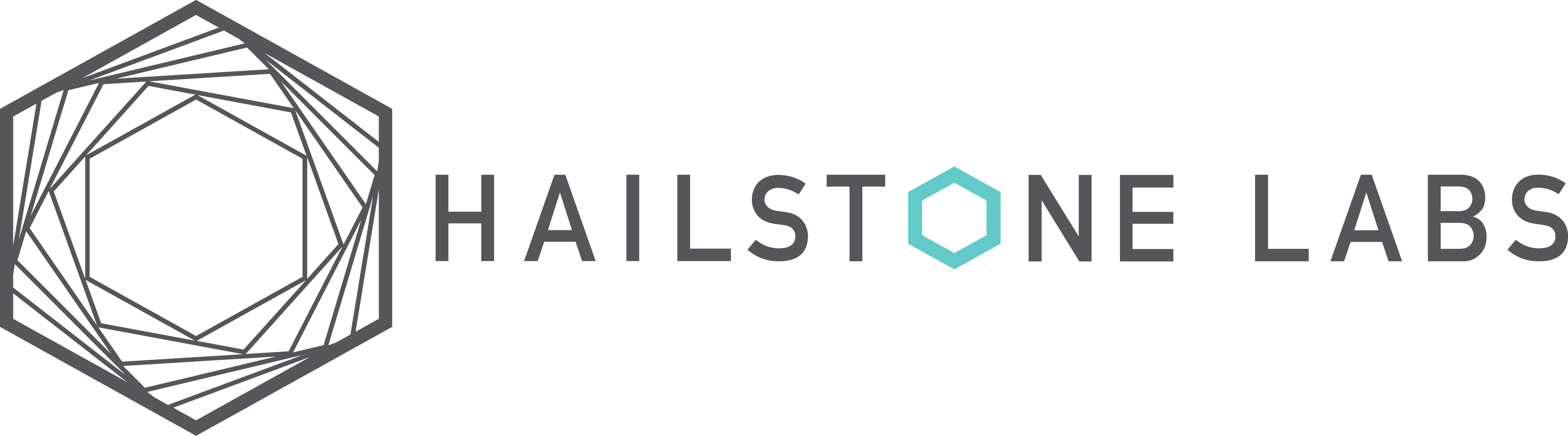 Hailstone Labs